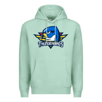 Seafoam the thunderbirds springfield Premium Hoodie - linhVisuals