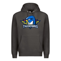 Smoke the thunderbirds springfield Premium Hoodie - linhVisuals