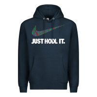 Just Hodl It Premium Hoodie | Teevron