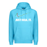 Ocean Blue just hodl it Premium Hoodie - linhVisuals