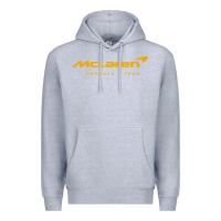 Heather Grey formula 1 team Premium Hoodie - linhVisuals