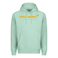 Seafoam formula 1 team Premium Hoodie - linhVisuals