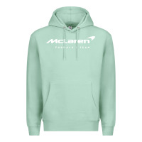 Seafoam formula 1 team Premium Hoodie - linhVisuals