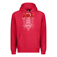 Cardinal gwar fun Premium Hoodie - linhVisuals