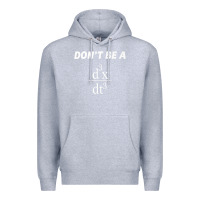 Heather Grey don't be a jerk funny math   scholar teacher nerd physics premium Premium Hoodie - linhVisuals