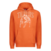 Carrot taurus zodiac sign horoscope may astrology t shirt Premium Hoodie - linhVisuals