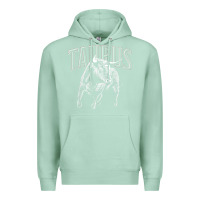 Seafoam taurus zodiac sign horoscope may astrology t shirt Premium Hoodie - linhVisuals