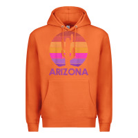 Carrot arizona   vintage retro cactus souvenir gift t shirt Premium Hoodie - linhVisuals