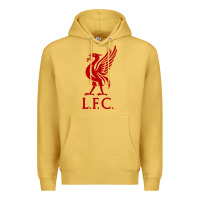 Liverpool Team Premium Hoodie | Teevron