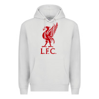 Dove Grey LIVERPOOL TEAM Premium Hoodie - linhVisuals