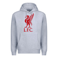 Heather Grey LIVERPOOL TEAM Premium Hoodie - linhVisuals