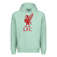 Seafoam LIVERPOOL TEAM Premium Hoodie - linhVisuals