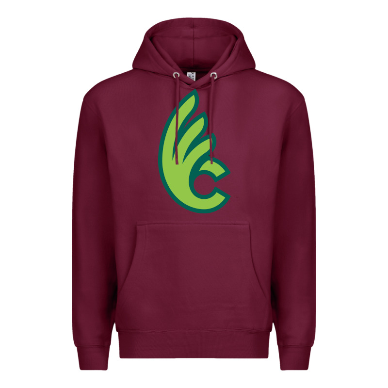 Wilmington College Quaqers Premium Hoodie by linhVisuals | Teevron