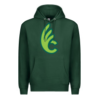 Sports Green wilmington college quaqers Premium Hoodie - linhVisuals