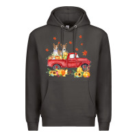 Smoke basenji pumpkin truck fall leaf thanksgiving halloween Premium Hoodie - linhVisuals