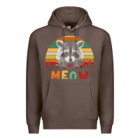 Funny Vintage Raccoon Meow Raccoon Lovers Premium Hoodie | Teevron