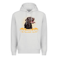 Dove Grey labrador retriever team chocolate lab funny Premium Hoodie - linhVisuals