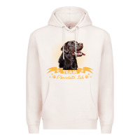 Pale Pink labrador retriever team chocolate lab funny Premium Hoodie - linhVisuals
