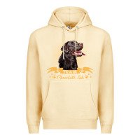 Pina Colada labrador retriever team chocolate lab funny Premium Hoodie - linhVisuals
