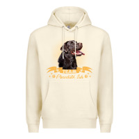 Labrador Retriever Team Chocolate Lab Funny Premium Hoodie | Teevron
