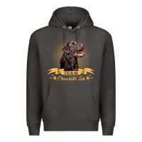 Smoke labrador retriever team chocolate lab funny Premium Hoodie - linhVisuals