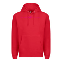 Red pink müṡïc cṏǹcert p!nk Premium Hoodie - linhVisuals