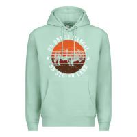 No One Is Illegal On Stolen Land 4th Of July Bison Premium Hoodie | Teevron