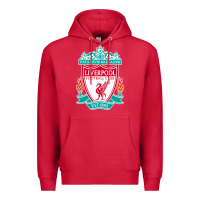 Cardinal the-liverpool-pen Premium Hoodie - linhVisuals