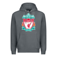 Rock the-liverpool-pen Premium Hoodie - linhVisuals