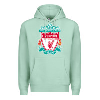 Seafoam the-liverpool-pen Premium Hoodie - linhVisuals