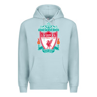 Blue Mist the-liverpool-pen Premium Hoodie - linhVisuals