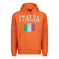Carrot vintage italia italian flag italy italiano Premium Hoodie - linhVisuals