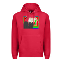 Cardinal sweet bro and hella jeff car 43724221 Premium Hoodie - linhVisuals