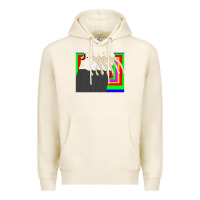 Tofu sweet bro and hella jeff car 43724221 Premium Hoodie - linhVisuals