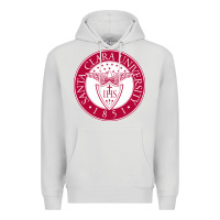 Dove Grey santa clara u Premium Hoodie - linhVisuals