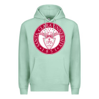Seafoam santa clara u Premium Hoodie - linhVisuals