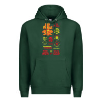 Sports Green america, concert, europe, morgue, world,nying, sosmula, city, rap, cit Premium Hoodie - linhVisuals