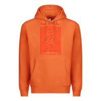 Carrot JOY DIVISION - UNKNOWN PLEASURES - JAPANESE Premium Hoodie - linhVisuals