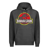 Charcoal Heather jur4551c park tshirt1 Premium Hoodie - linhVisuals