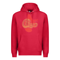 Cardinal VINTAGE CHICAGO Premium Hoodie - linhVisuals