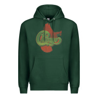 Sports Green VINTAGE CHICAGO Premium Hoodie - linhVisuals