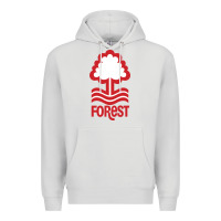 Dove Grey forest-fc Premium Hoodie - linhVisuals
