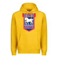 Lemon ipswich-town-fc Premium Hoodie - linhVisuals