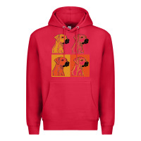 Cardinal rhodesian ridgeback t  shirt rhodesian ridgeback dog gift idea t  shir Premium Hoodie - linhVisuals