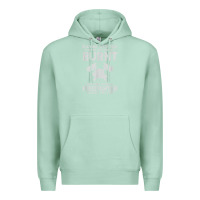Seafoam playing with fire will get you burnt fireman firefighter fun Premium Hoodie - linhVisuals