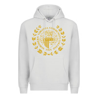 Dove Grey northern virginia community college Premium Hoodie - linhVisuals