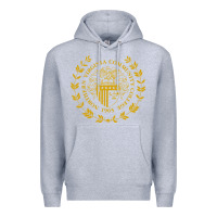 Heather Grey northern virginia community college Premium Hoodie - linhVisuals