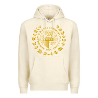 Sandshell northern virginia community college Premium Hoodie - linhVisuals