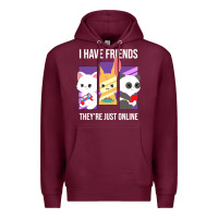 I Have Friends They Are Just Online Premium Hoodie | Teevron