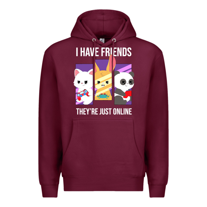 I Have Friends They Are Just Online Premium Hoodie by linhVisuals | Teevron